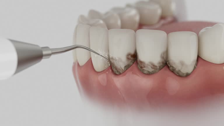 Reliable Dental contractor in Williams, CA by Dentist Open Now